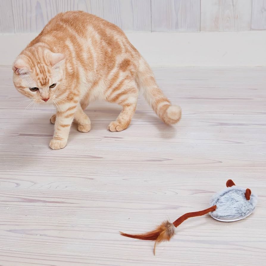 ラバー 貼り付け  ねずみとねこ ラバー 貼り付け ねずみとねこ 0711548.jpg